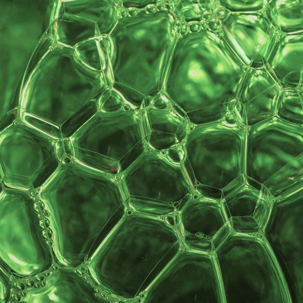Beneficial effects of docosahexaenoic acid on cognition in age-related cognitive decline