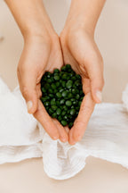 Fermented Chlorella Tablets