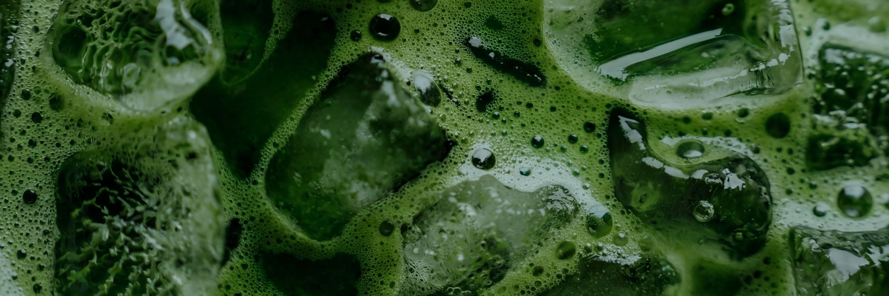 Close up of a Phytality super greens drink with ice cubs floating
